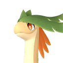 Braloha Pal portrait