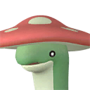 Shroomer Pal portrait