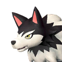 Direhowl Pal portrait