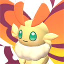 Cinnamoth Pal portrait